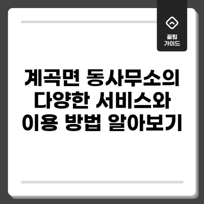 계곡면 동사무소의 다양한 서비스와 이용 방법 알아보기
