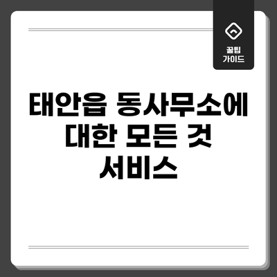 태안읍 동사무소에 대한 모든 것: 서비스