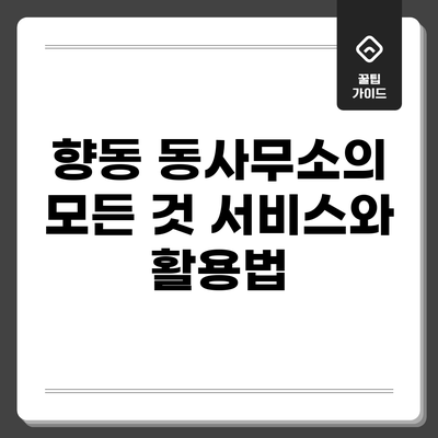 향동 동사무소의 모든 것: 서비스와 활용법