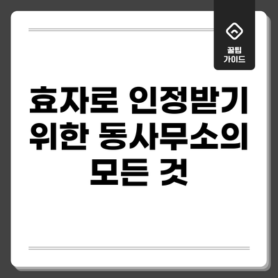 효자로 인정받기 위한 동사무소의 모든 것