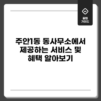 주안1동 동사무소에서 제공하는 서비스 및 혜택 알아보기