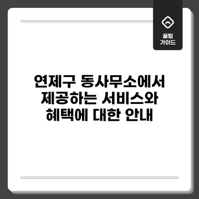 연제구 동사무소에서 제공하는 서비스와 혜택에 대한 안내