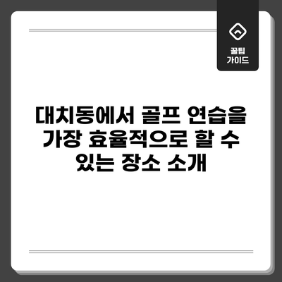 대치동에서 골프 연습을 가장 효율적으로 할 수 있는 장소 소개