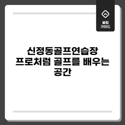 신정동골프연습장: 프로처럼 골프를 배우는 공간